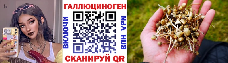 Галлюциногенные грибы мухоморы  купить наркотики сайты  Вязьма 